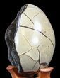 Septarian Dragon Egg Geode - Crystal Filled #40896-2